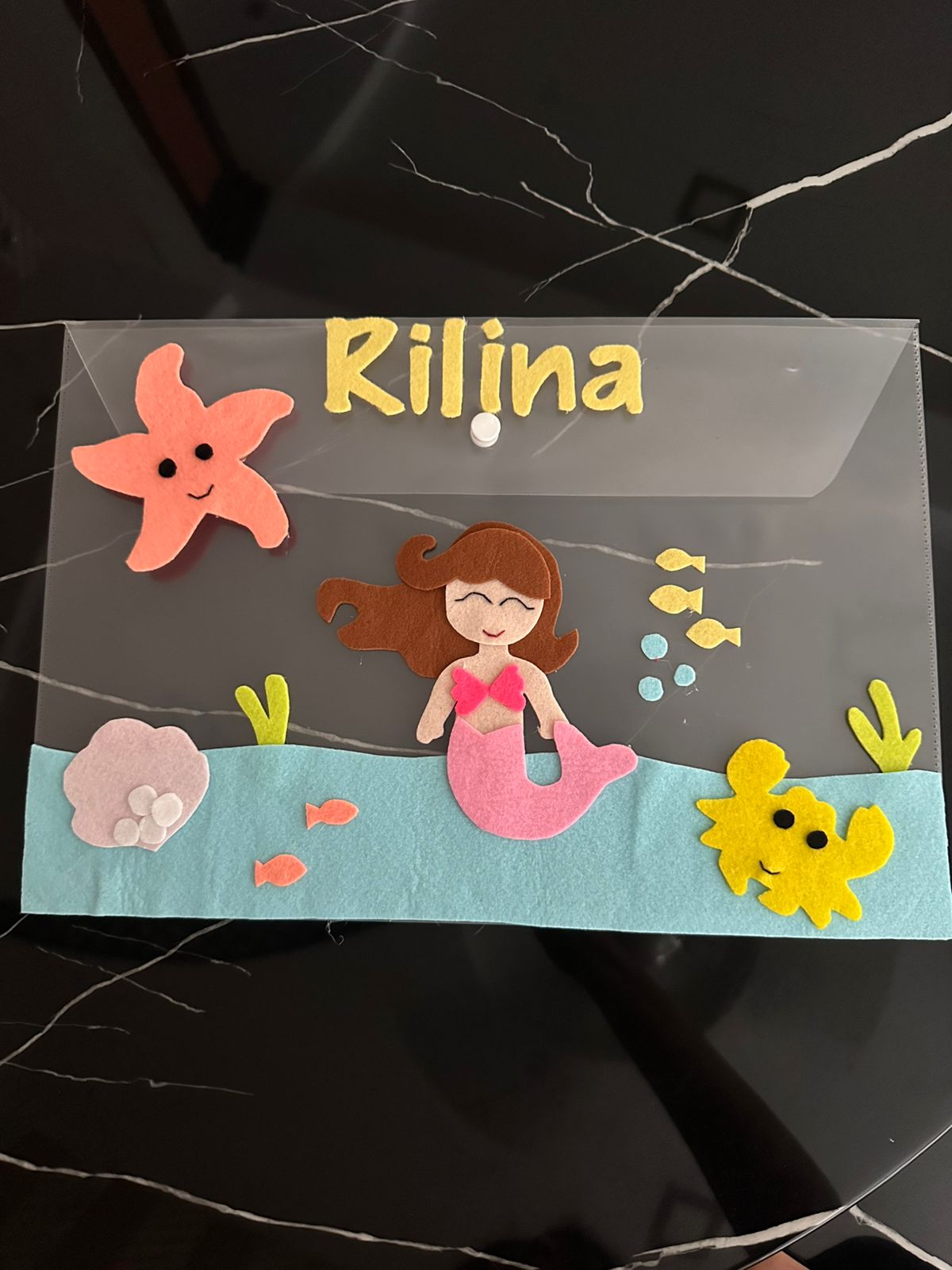 A4 Size Clear Folder