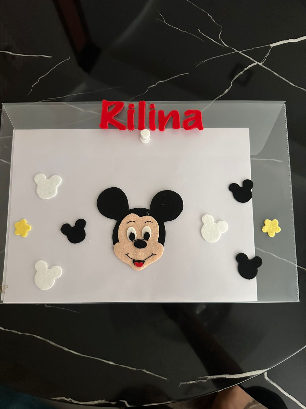 A4 Size Clear Folder